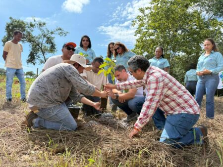 Governo do Tocantins abre programação da Semana da Água com demonstração do ciclo completo do processo de restauração de nascentes