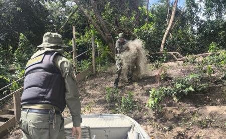 Naturatins intensifica fiscalização e apreende mais de 4 mil metros de redes no norte do Estado